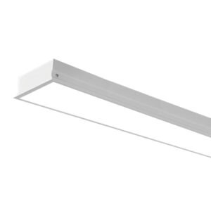 Proline 16535