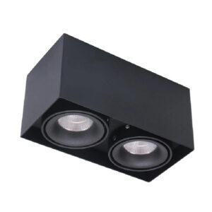 Ray SR2